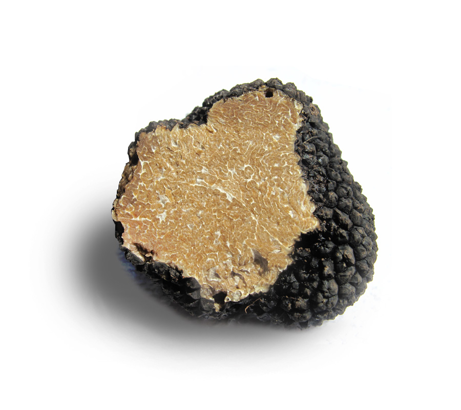 summer “truffle”