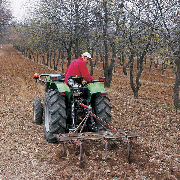 la recherche de truffes